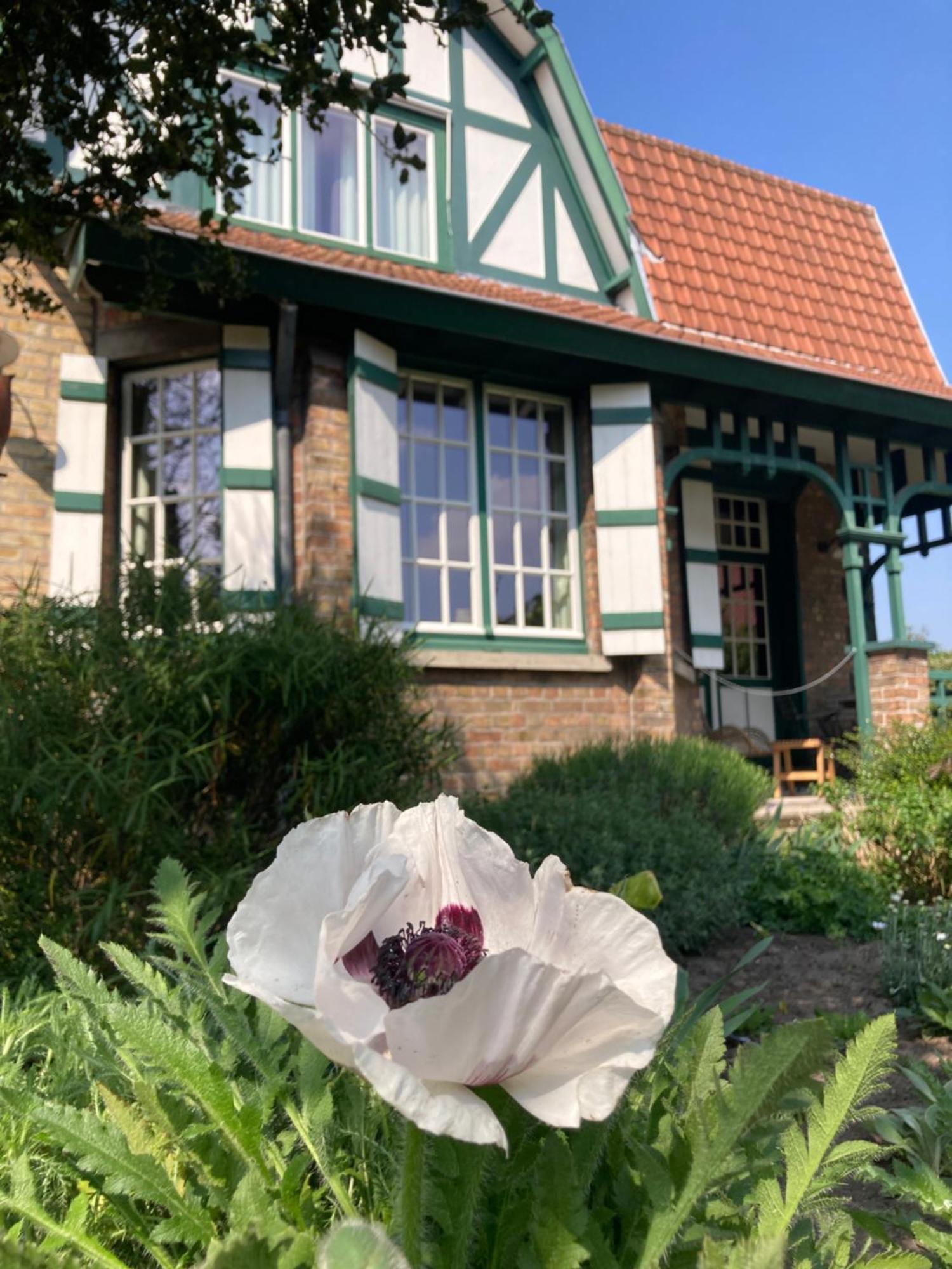 Bed and Breakfast Tree & B Brugia Zewnętrze zdjęcie